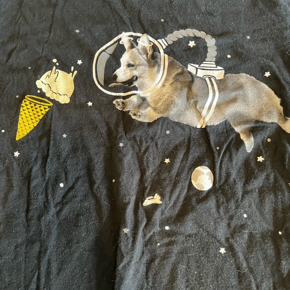 Corgi T - Picture 2 of 4